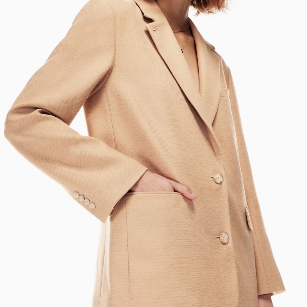Babaton blazer